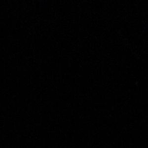 Meet your Posher, Mia